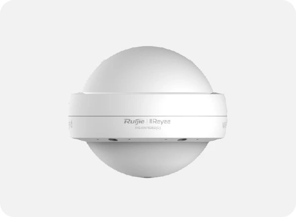 RG RAP6262 (G) WIFI 6 Outdoor Omnidirectional Access Point 2